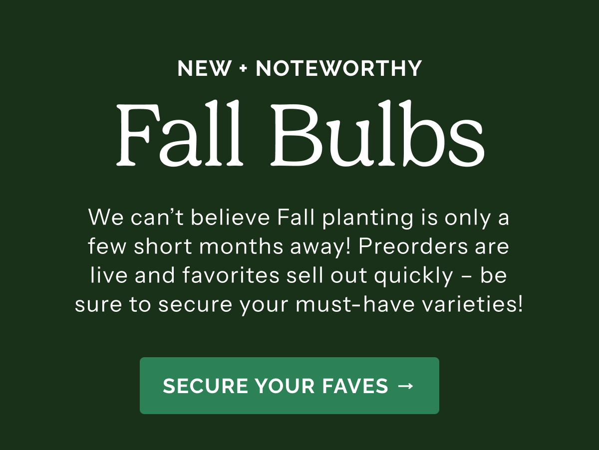 New + Noteworthy FALL BULBS We can't believe Fal planting is only a few short months away! Preorders are live and favorites sell out quickly – be sure to secure yuour must-have varieties! SECURE YOUR FAVES>>
