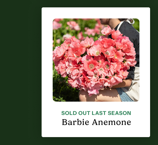 Barbie Anemone – Sold out last season