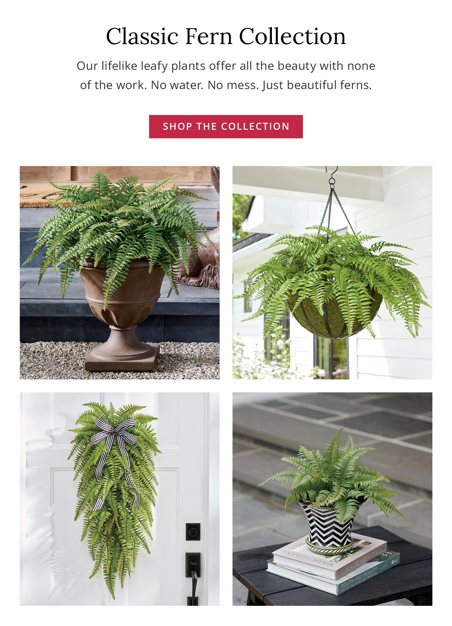 Classic Fern Collection
