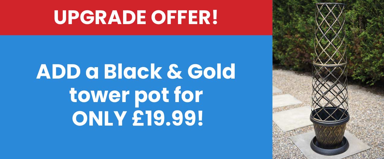 Upgrade Offer!