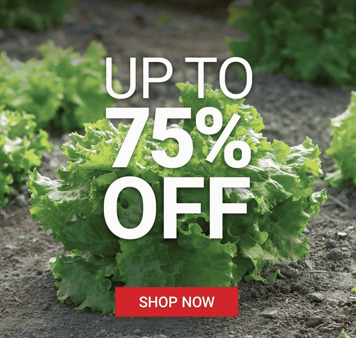 Up to 75% Off - Shop Now