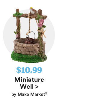Miniature Well