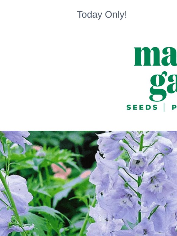 Double up for just 99p on these cottage garden classics + Free Delivery
