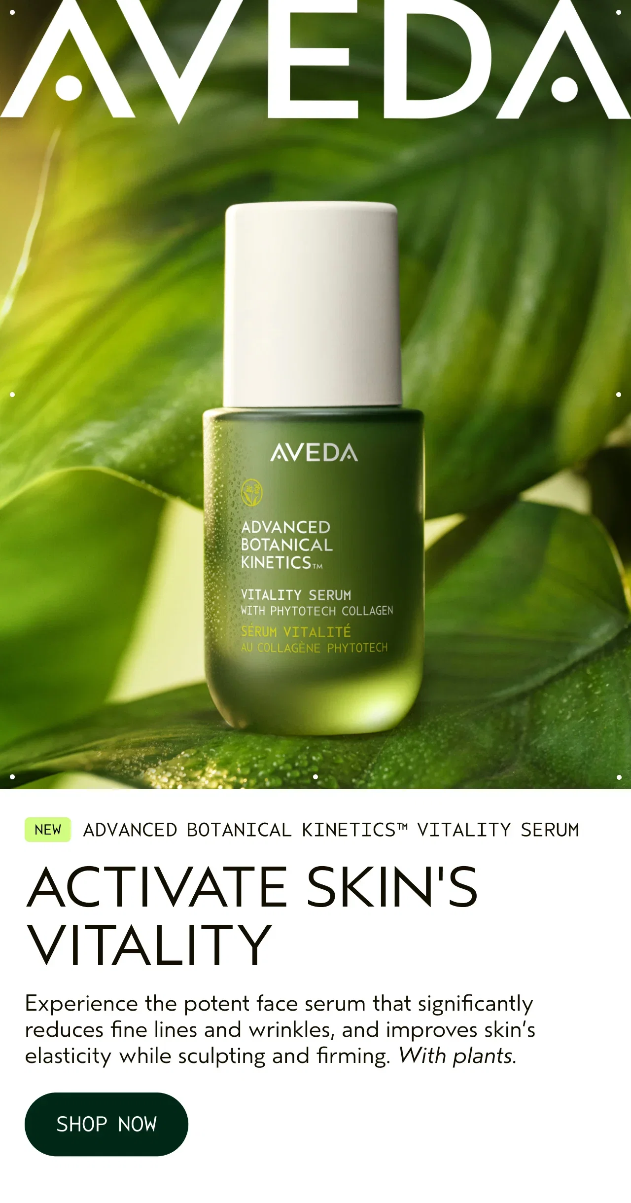 AVEDA | NEW ADVANCED BOTANICAL KINETICS™ VITALITY SERUM | ACTIVATE SKIN'S VITALITY | Experience the potent face serum that significantly reduces fine lines and wrinkles, and improves skin's elasticity while sculpting and firming. With plants. | SHOP NOW