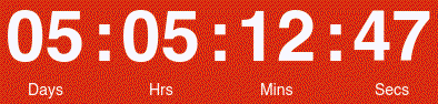 Countdown Timer