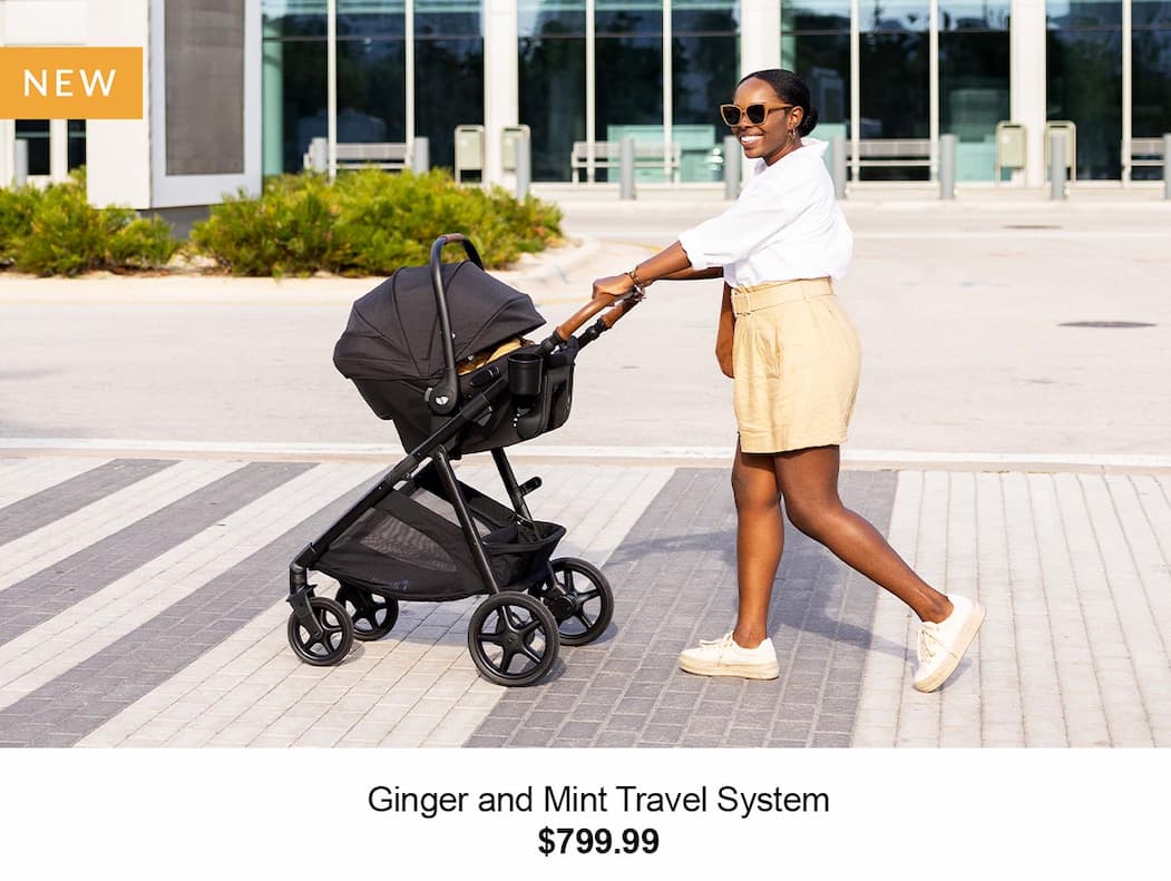 ginger travel system