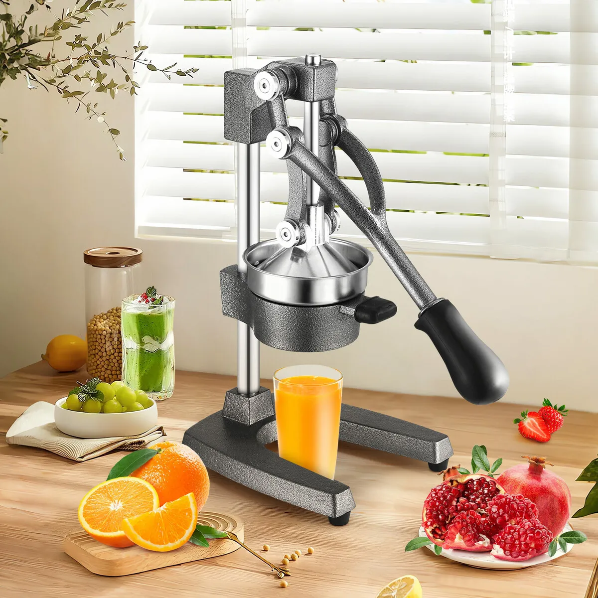 Manual Juicer