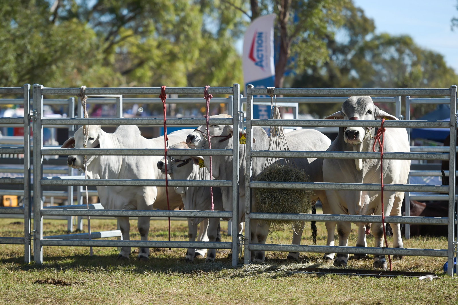 Elders FarmFest 2026 Kingsthorpe Toowoomba