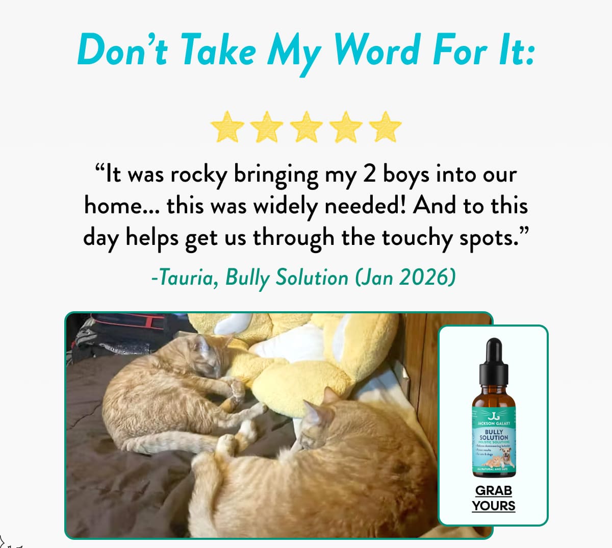Shop 20% Off Behavior Solutions