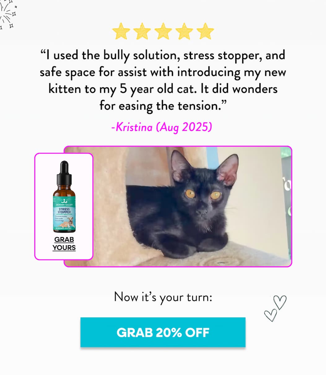 Shop 20% Off Behavior Solutions