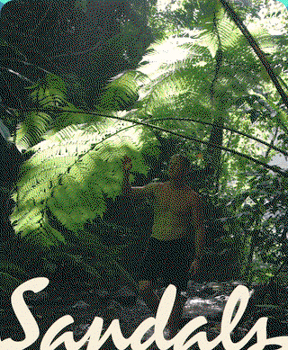 Summer Sale