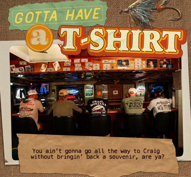 Shop New T-Shirts