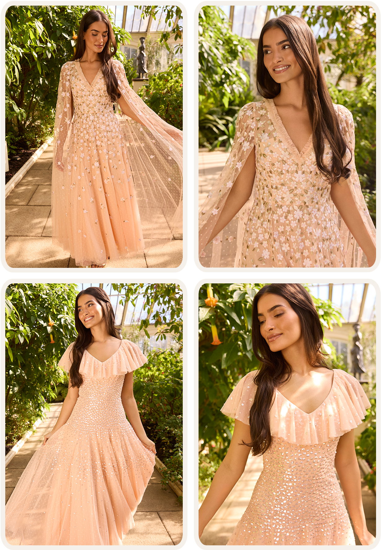 The Apricot Edit
