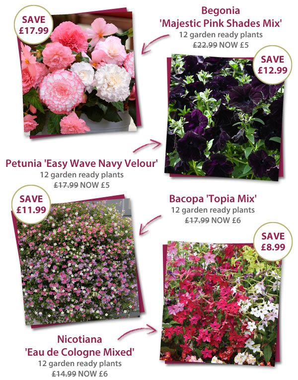 Garden Ready Mix & Match
