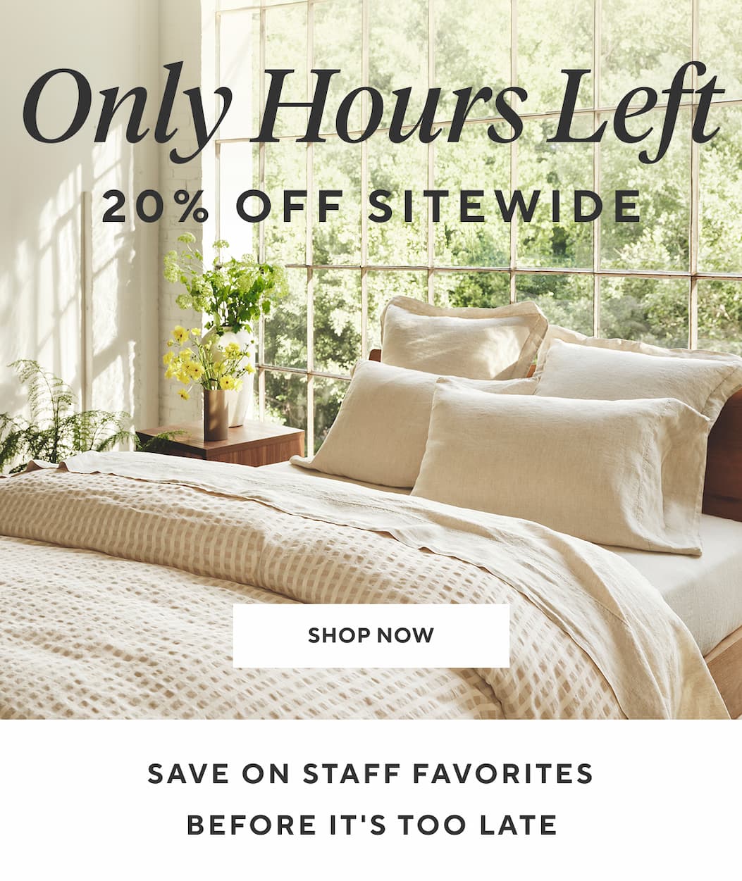 ONLY HOURS LEFT 20% OFF SITEWIDE SAVE ON STAFF FAVORITES BEFORE IT'S TOO LATE