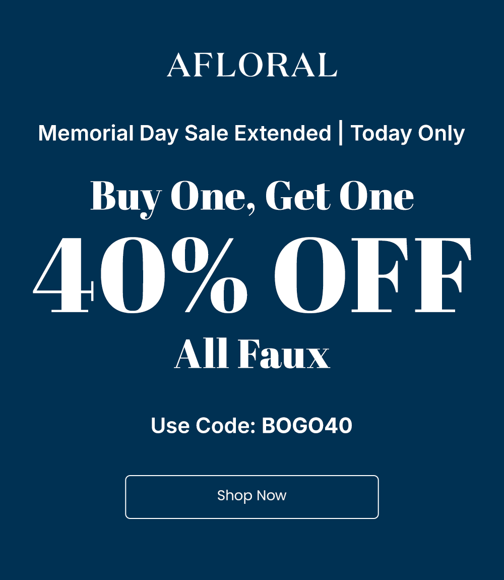 Memorial Day Sale Extended