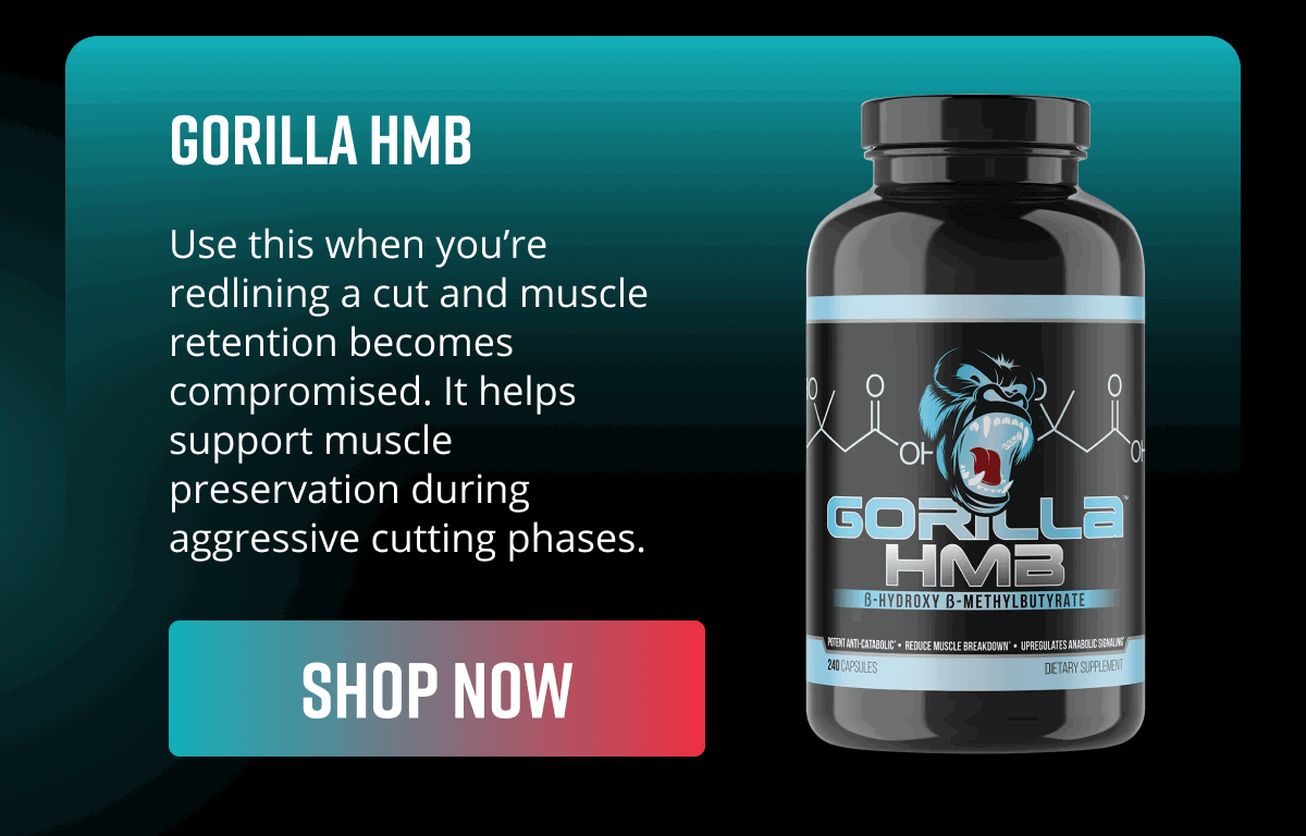 Shop Now - Gorilla Mind