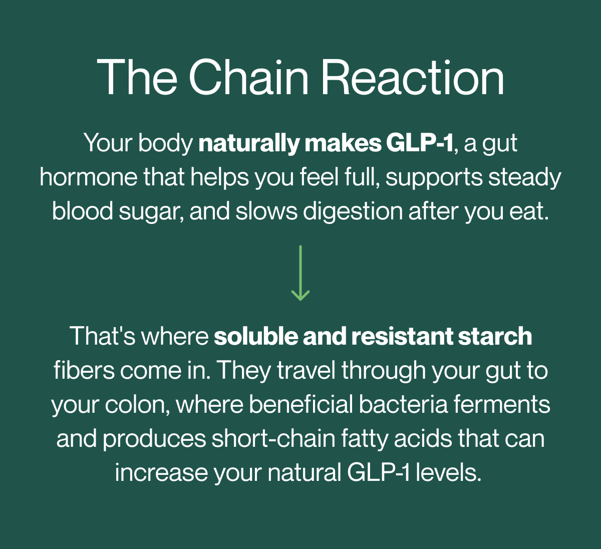 Soluble and resistant starch help increase your body's natural GLP-1 levels.
