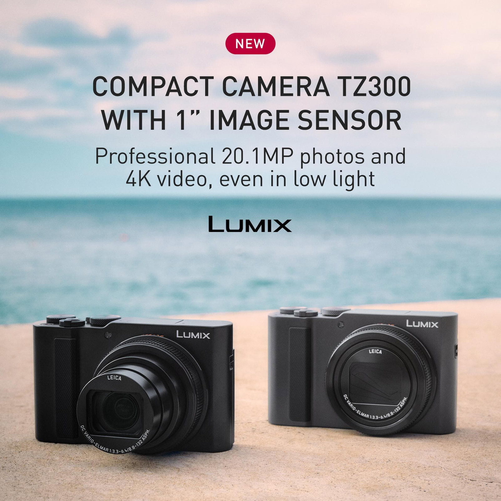 Lumix TZ300