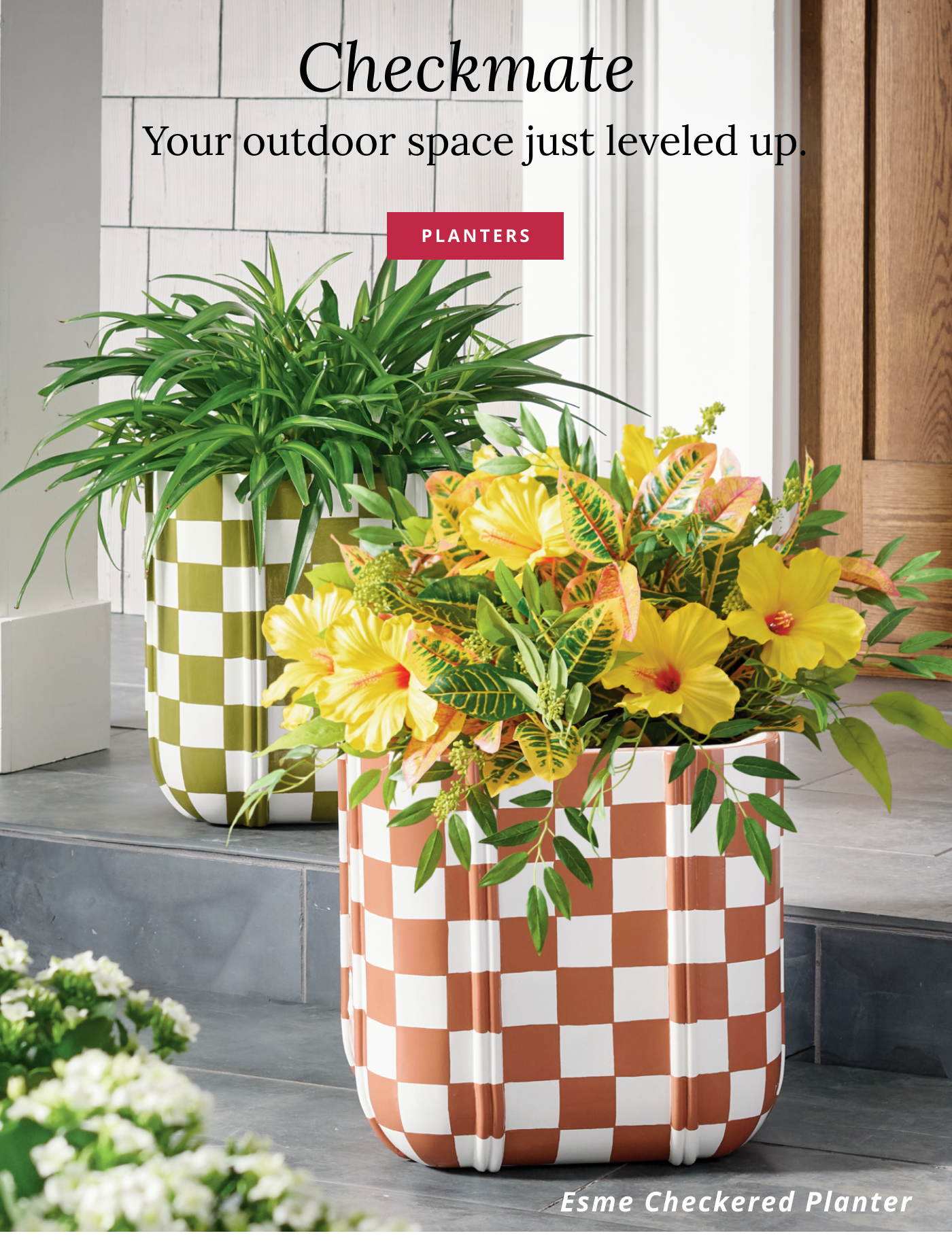 Shop Planters