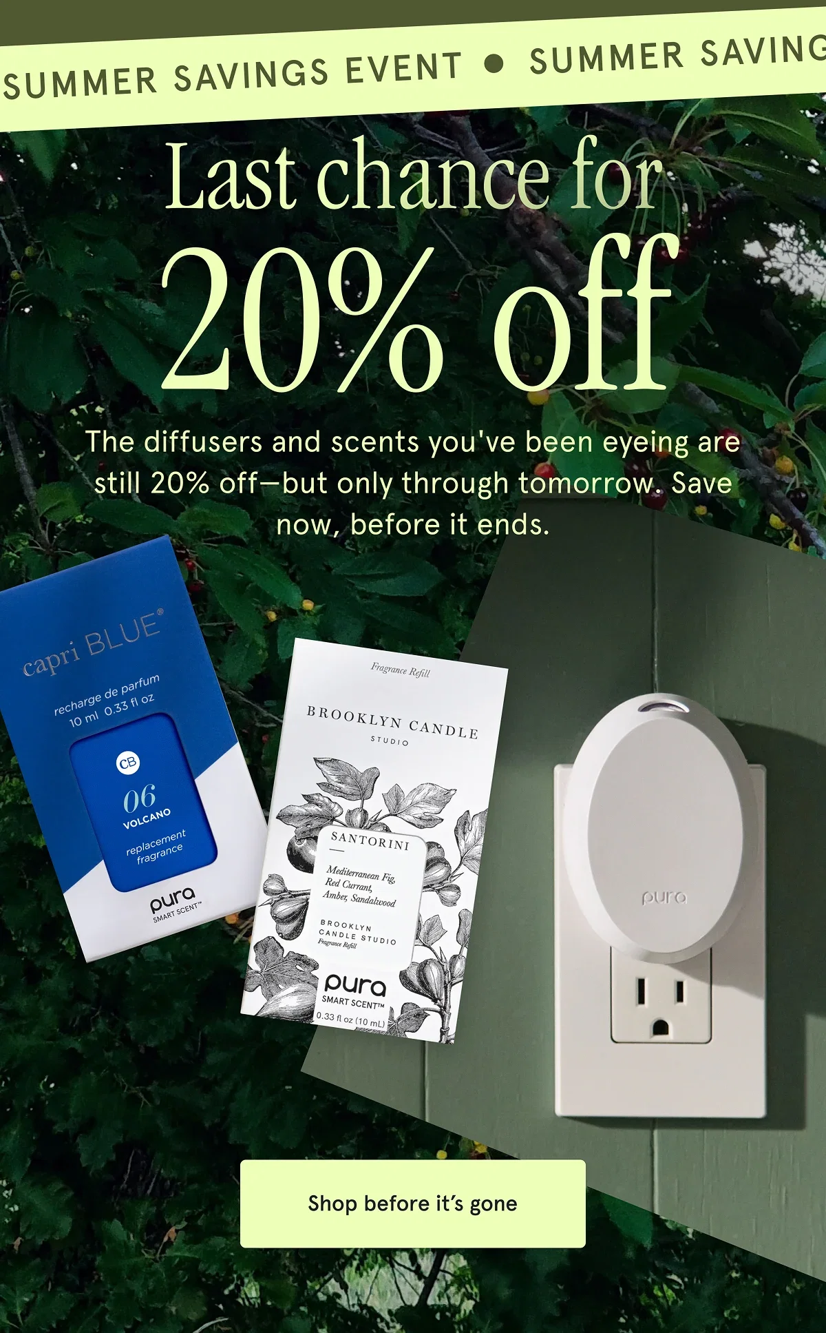 Last chance for 20% off. The diffusers and scents you've been eyeing are still 20% off—but only through tonight. Save now, before it ends.