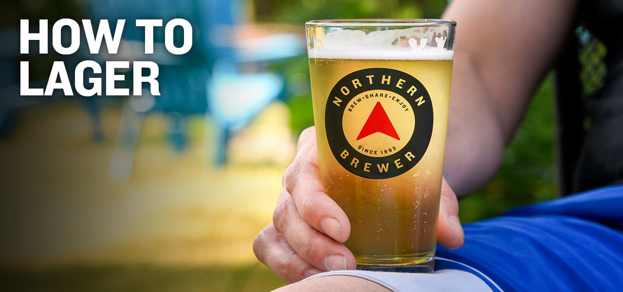 Image of a summer lager in a glass