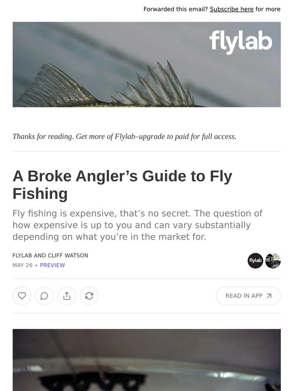 A Broke Angler’s Guide to Fly Fishing