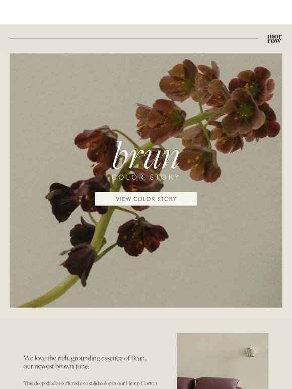 Color Story: rich, grounding essence of Brun