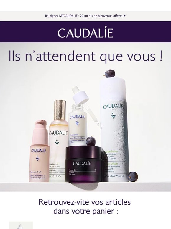 Il n’est pas trop tard… Votre panier vous attend !