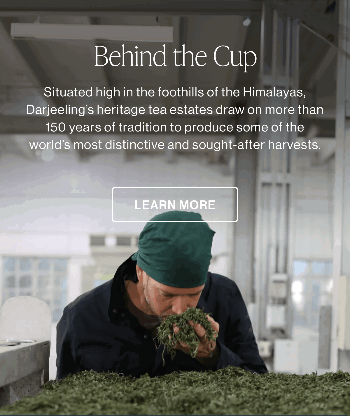 Behind the Cup | LEARN MORE