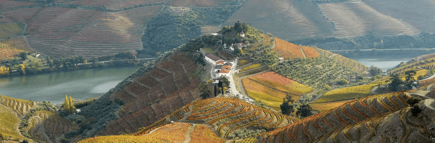 Quinta do Crasto (2026) - All You MUST Know Before You Go (with Reviews)