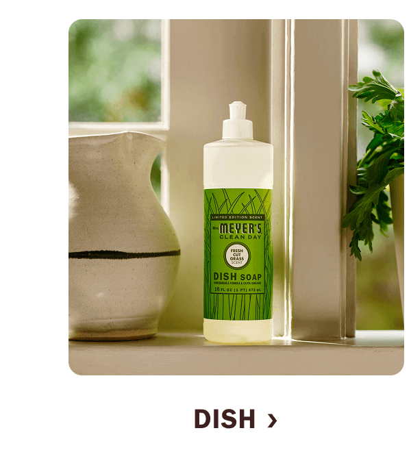 Shop dish