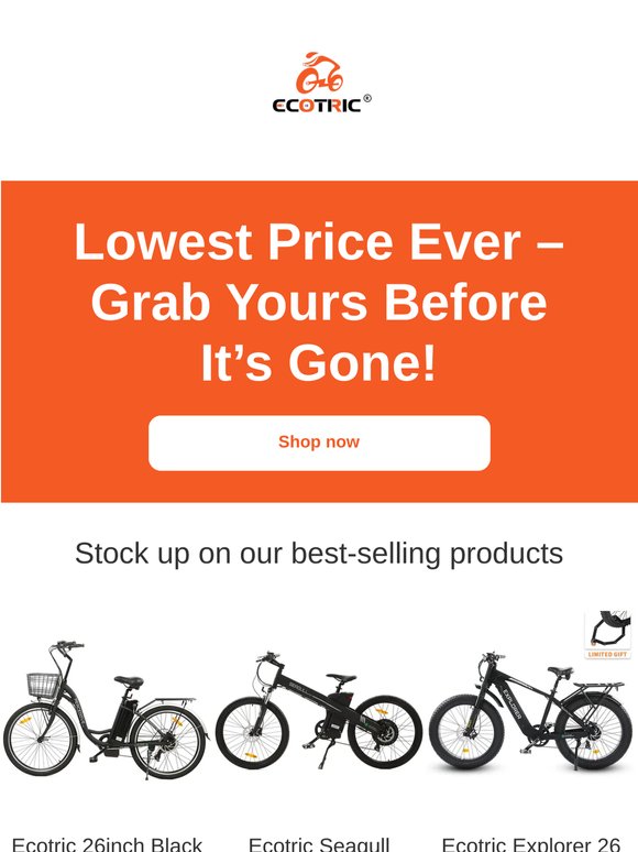 Final Clearance — Gone Soon!