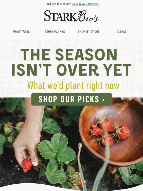 🌱 Here's What We'd Plant Right Now