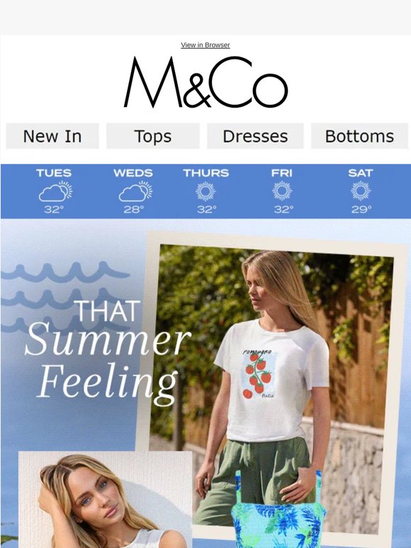 Your Holiday Essentials