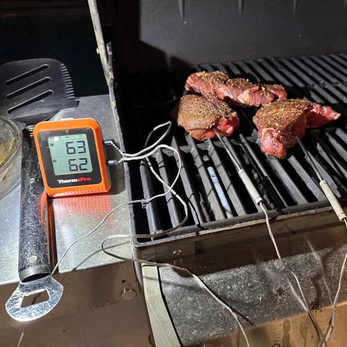 TP920 650-ft Wireless 2-Probe Meat Thermometer