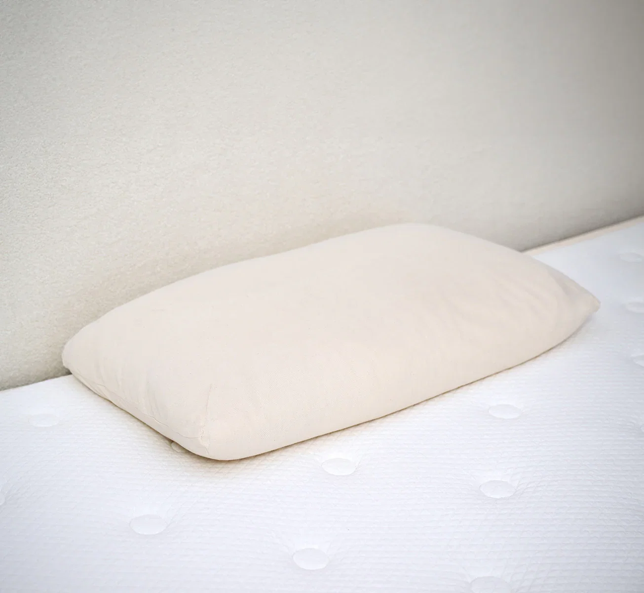 Image of Shredded Latex Pillow