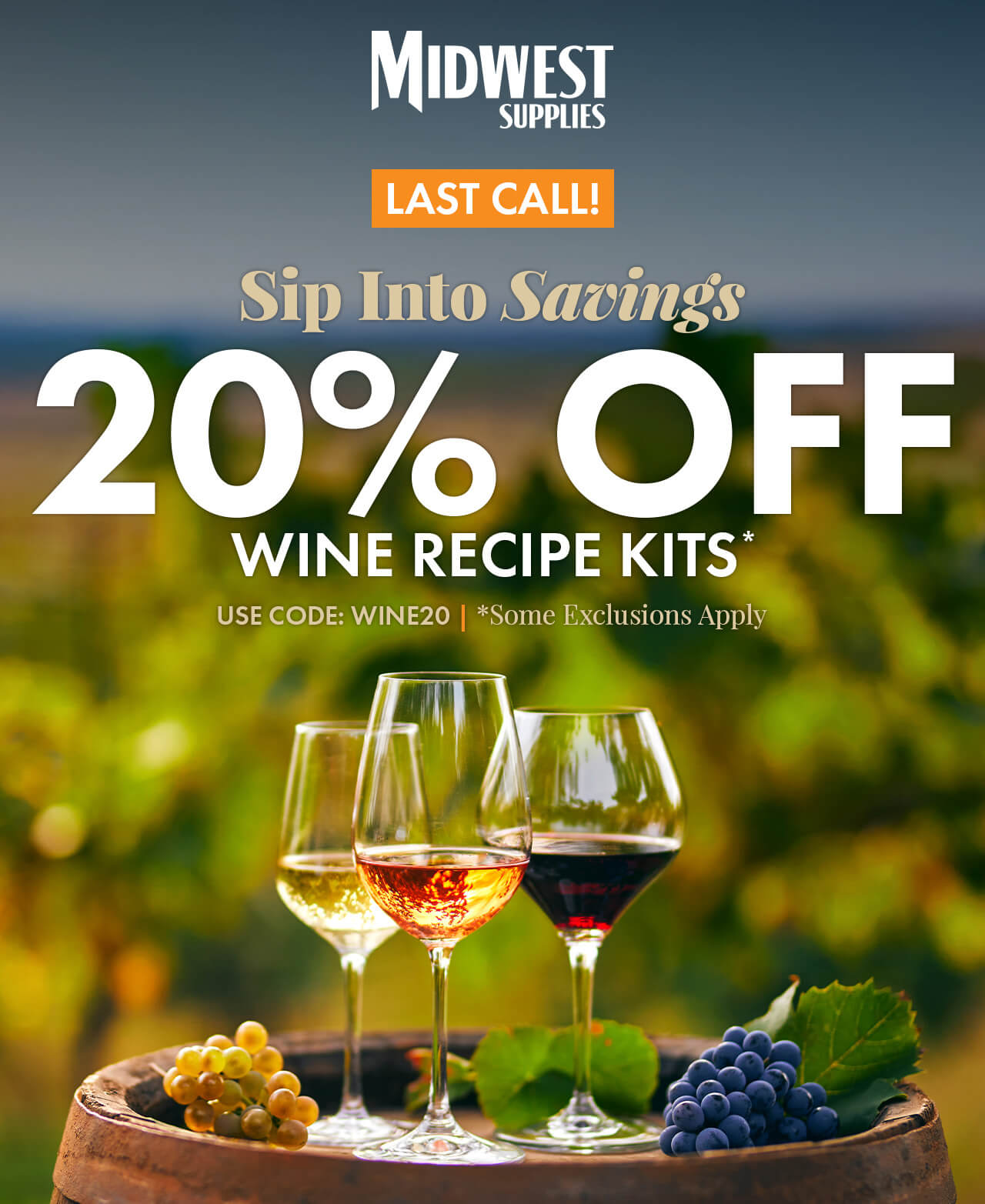 Last Call! Sip into Savings. 20% Off Wine Recipe Kits. Use code: WINE20