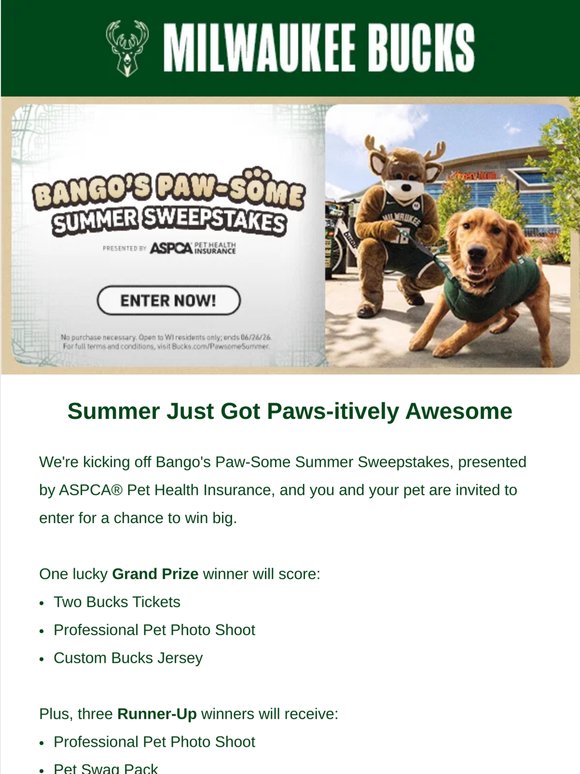 Your Pet Could Be The Real MVP This Summer 🐶🏀