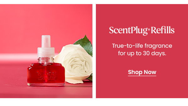 A ScentPlug refill bottle beside a white rose. Text reads ScentPlug Refills, true-to-life fragrance for up to 30 days. Shop Now button.