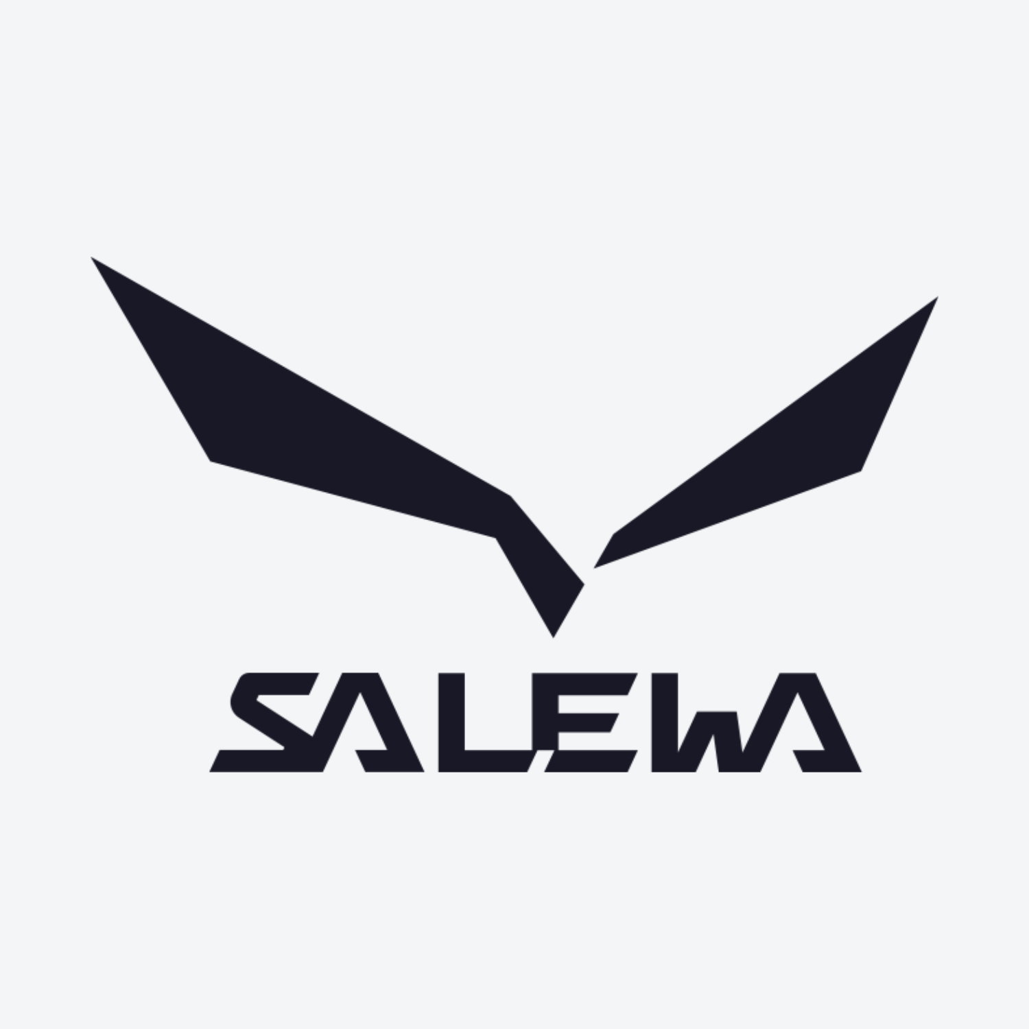 Salewa