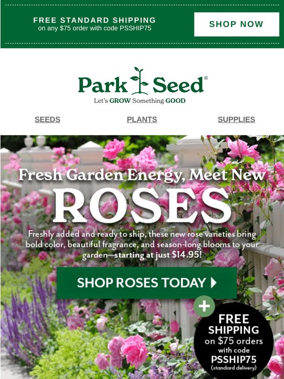 Premium Roses, Surprisingly Low Prices ✔