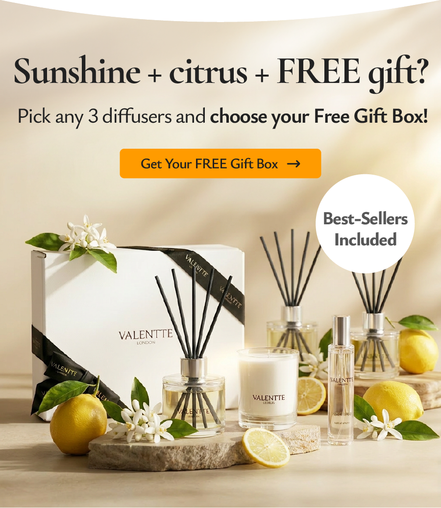Pick any 3 diffusers and choose your Free Gift Box - save up to 53%!