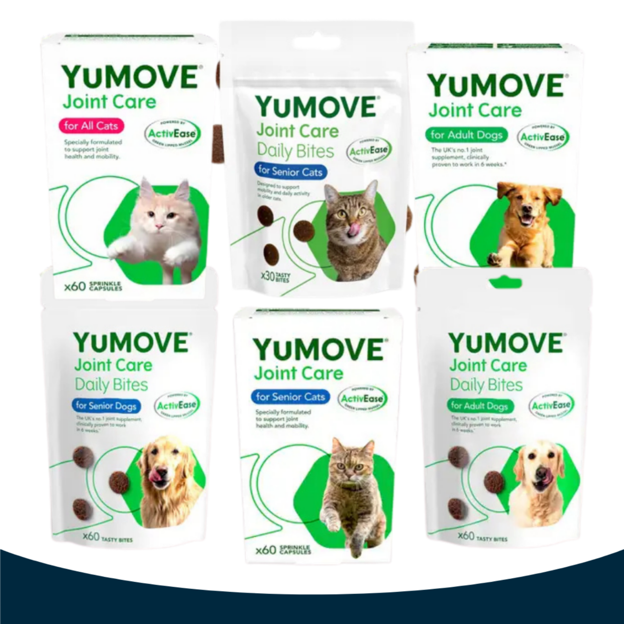 YuMOVE