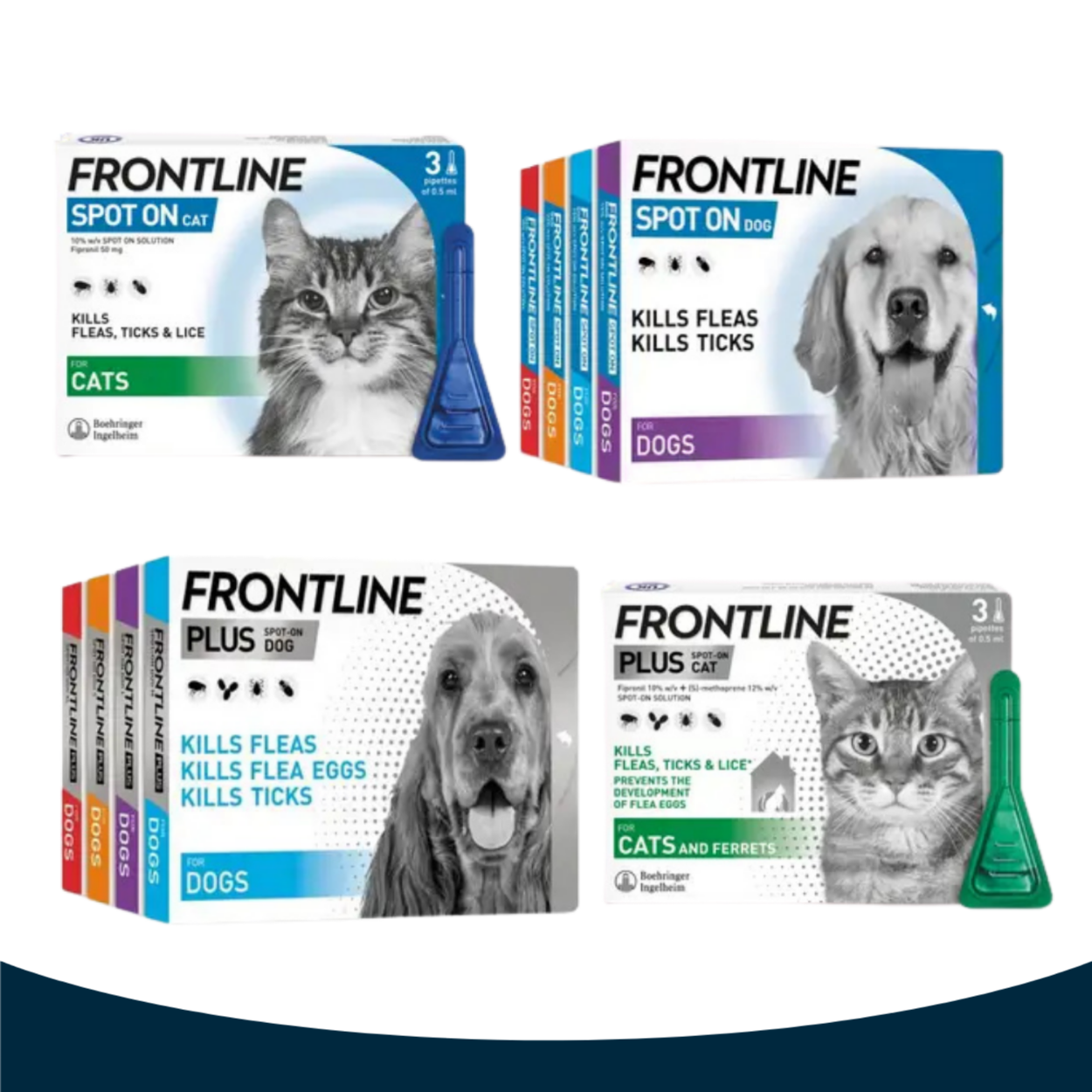 Frontline