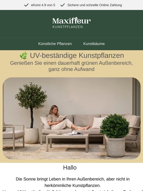 Immer grün, auch in der Sonne ☀️ UV-beständige Pflanzen entdecken