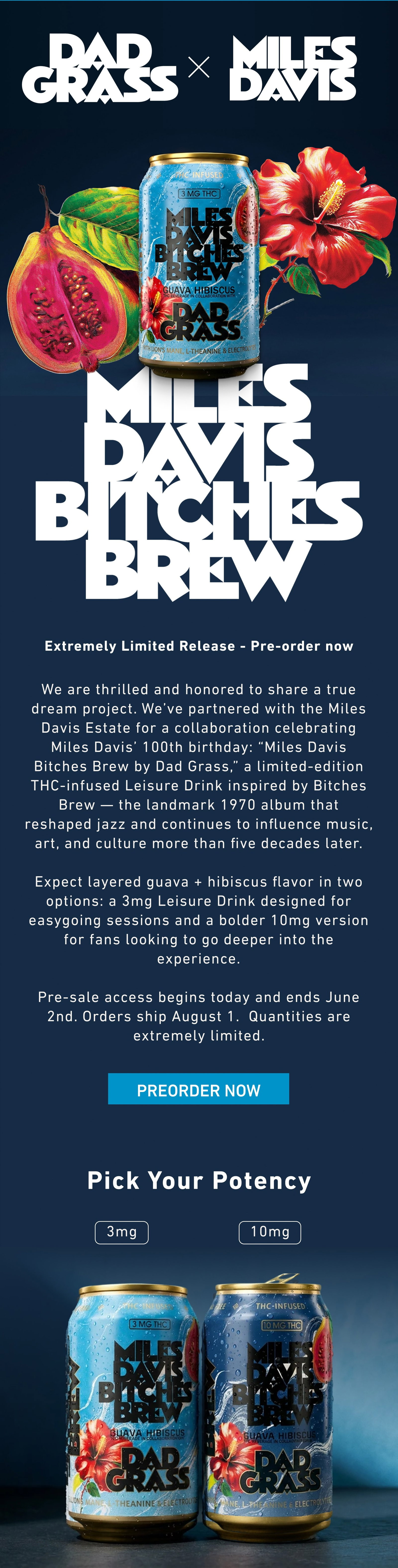 DAD GRASS | AVAILABLE FOR PREORDER: MILES DAVIS BITCHES BREW
