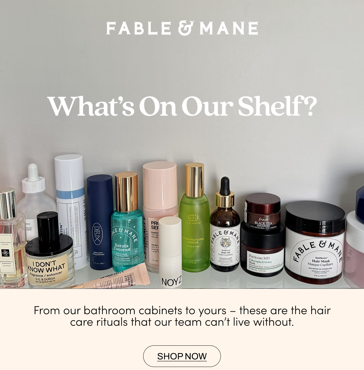 What's on our shelf?