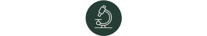 The study in brief