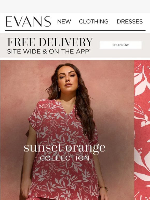 Found: The Colour You Need